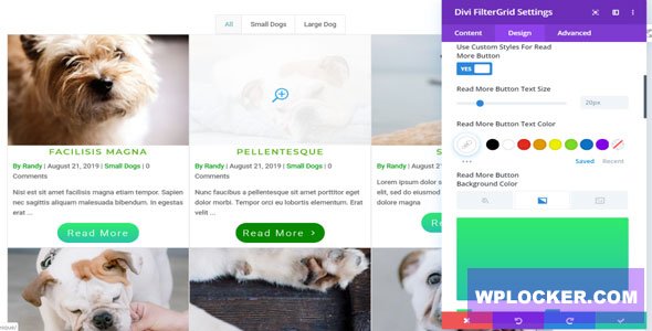 Divi FilterGrid v2.1.1 - Create a Beautiful Grid Layout of any Post Type