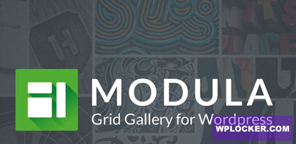 Modula Pro v2.5.0 + Addons