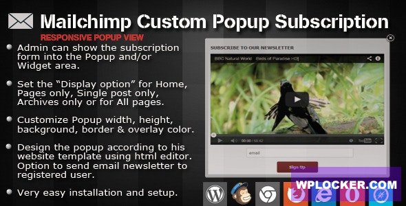 Mailchimp Custom Popup Subscription for wordpress v1.4