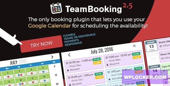 Team Booking v2.5.8 - WordPress booking system