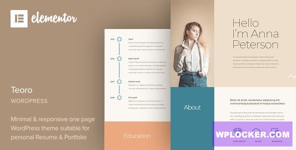 Teoro v1.0 - CV Resume WordPress Theme