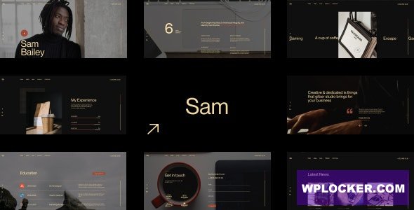 Sam Bailey v1.0 - Personal CV/Resume WordPress Theme