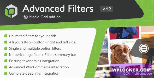 Media Grid - Advanced Filters add-on v1.3.0.1