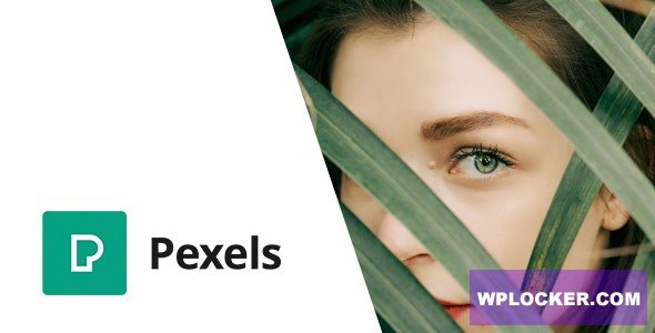 Pexels v1.0 - Import Free Stock Images into WordPress