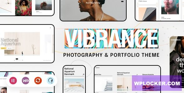Vibrance v1.0.1 - Photography Theme