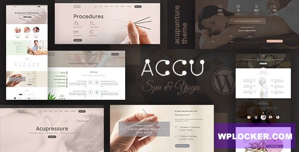 Accu v3.0 - Healthcare, Massage WordPress Theme