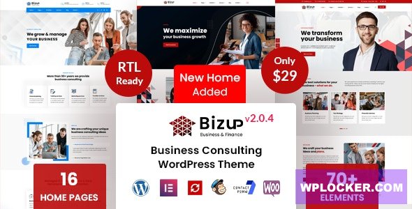 Bizup v2.0.4 - Business Consulting WordPress Theme