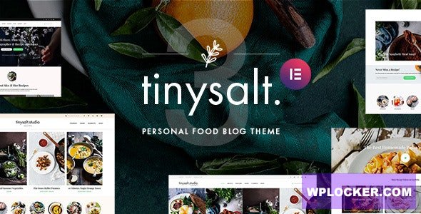 TinySalt v3.5.0 - Personal Food Blog WordPress Theme