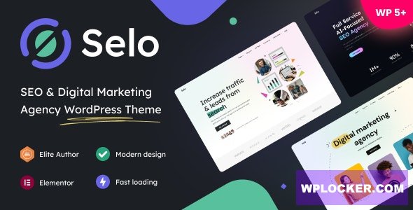 Selo v1.1.6  - SEO & Digital Marketing Agency WordPress Theme