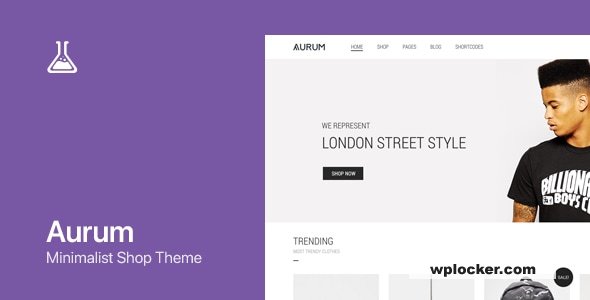 Aurum v4.0.12 - Minimalist Shopping Theme