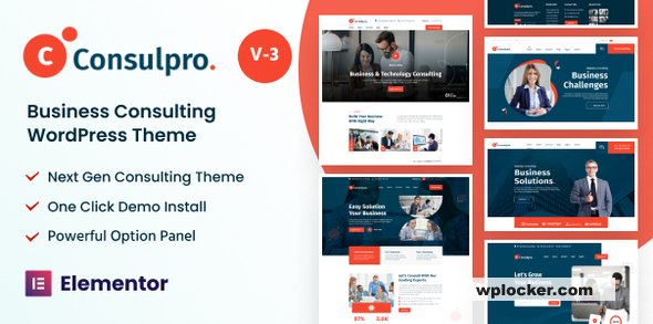 Consulpro v3.0.1 - Finance & Business Consulting