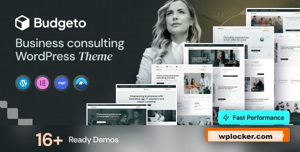 Budgeto v1.0.7 - Business Consulting WordPress Theme